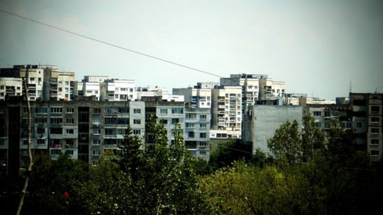 Ако си имал късмета и щастието да се родиш в Люлин, навярно ти е пределно ясно, че няма никакъв смисъл да излизаш от квартала. В Люлин си има всичко. От известно време и мол, което значи... Всичко, да.