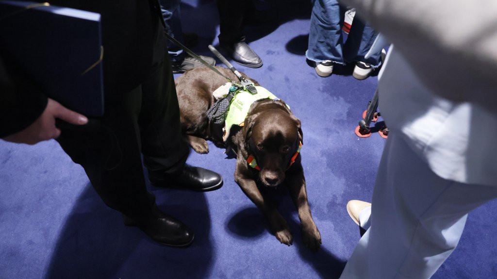 За първи път куче в парламента. Вече знаем кой ще има най-високия рейтинг в НС.