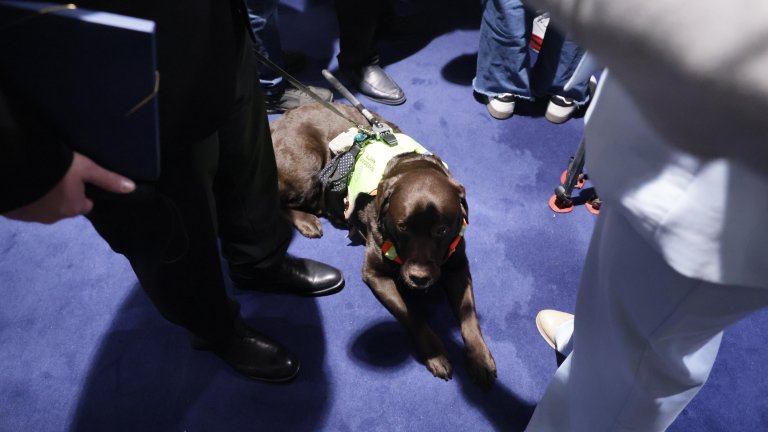 За първи път куче в парламента. Вече знаем кой ще има най-високия рейтинг в НС.