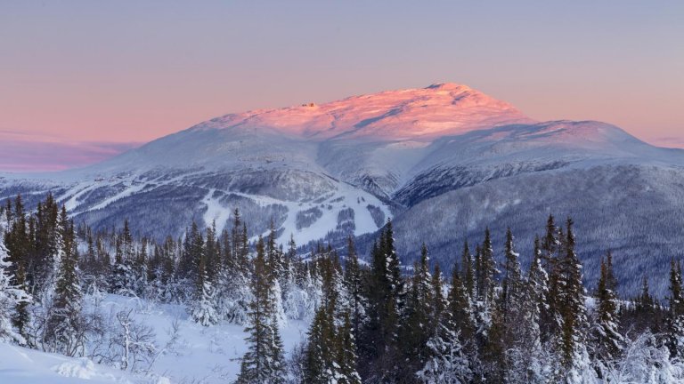 Оре през зимата.