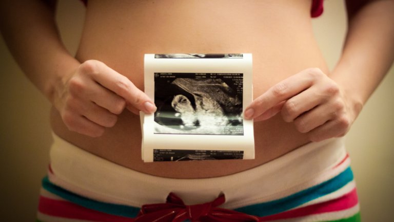 бременност, ембрион