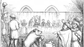 1280px-Trial_of_a_sow_and_pigs_at_Lavegny