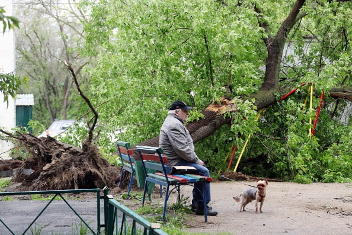 Най-жестоката буря за 100 години в  руската столица

Вижте галерия от щетите, нанесени от ураганния вятър в Москва