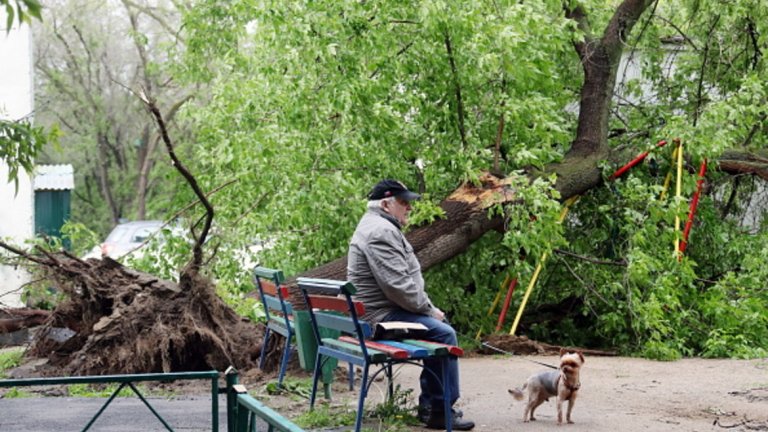 Най-жестоката буря за 100 години в  руската столица

Вижте галерия от щетите, нанесени от ураганния вятър в Москва