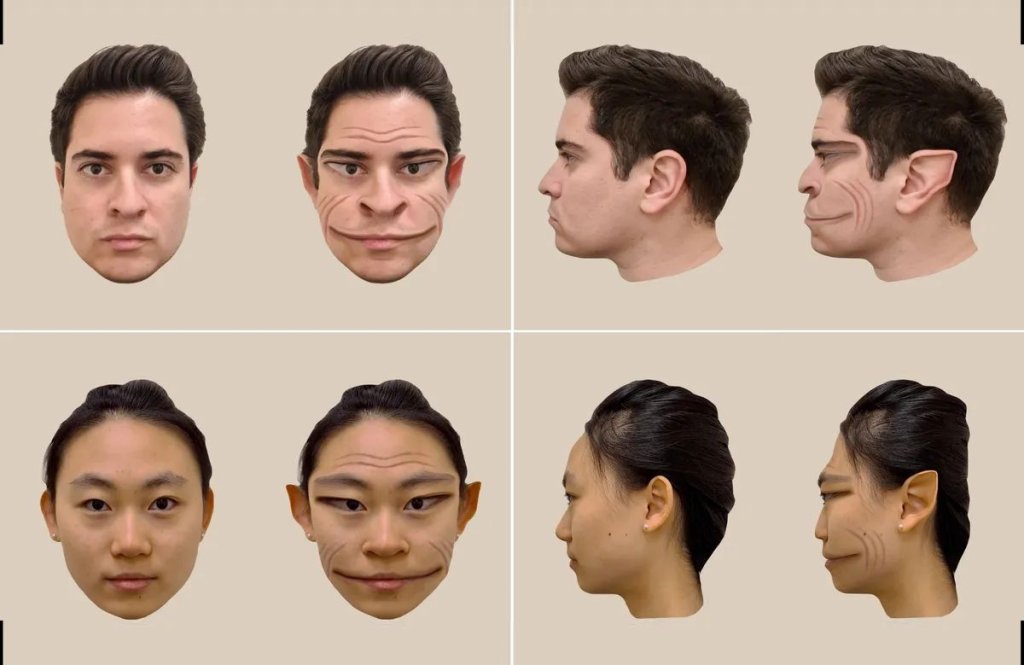 faces-l