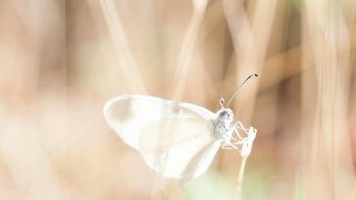 timo-vijn-P8MrF0r4YUU-unsplash