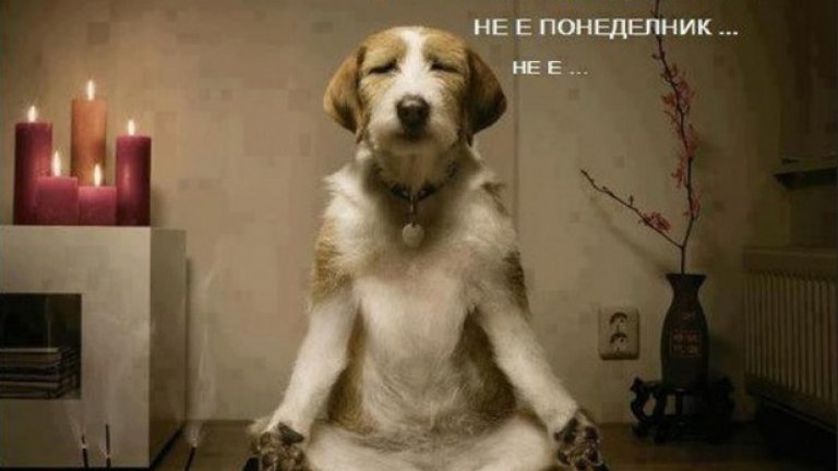 Да управляваш фен-страница не е толкова лесно и просто