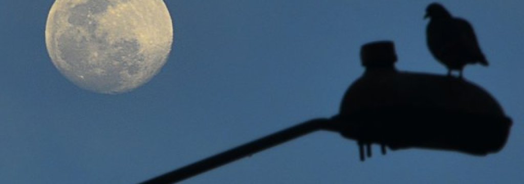 cdbf6__68318177_moon