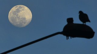 cdbf6__68318177_moon