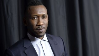 Ник Пизолато ("Истински детектив") не е успял с пренаписването на сценария преди началото на стачката, която замрази редица продукции в Холивуд.