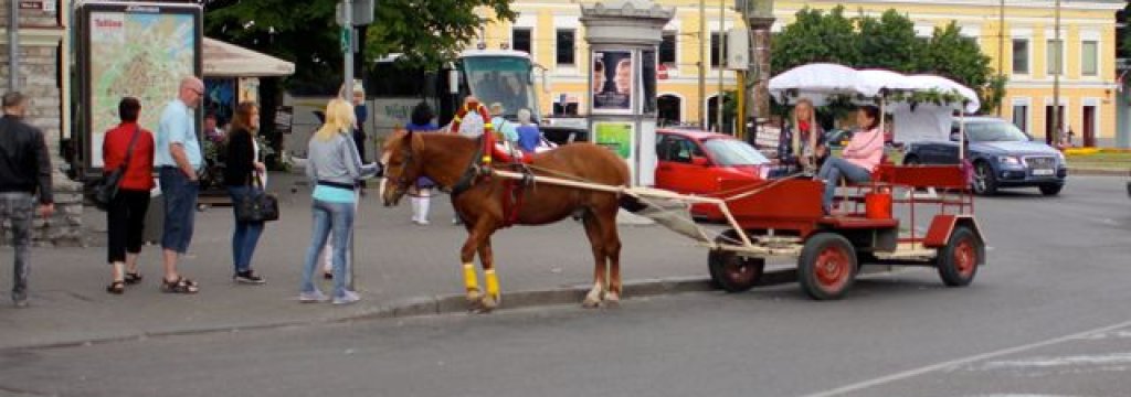 Tallinn201203