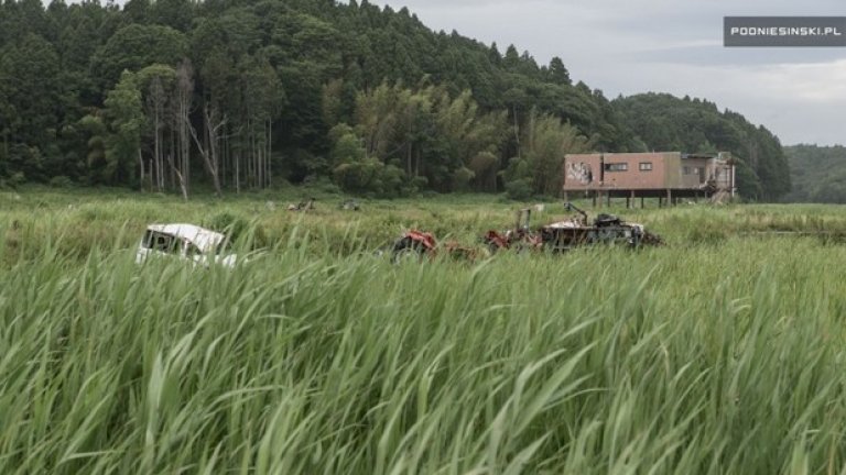 Природата завладява изоставената Фукушима