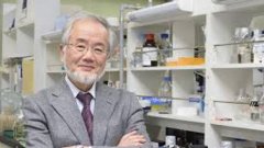 Японскияг учен Йошинори Осуми е носителят на Нобеловата награда за медицина за 2016 година. 
