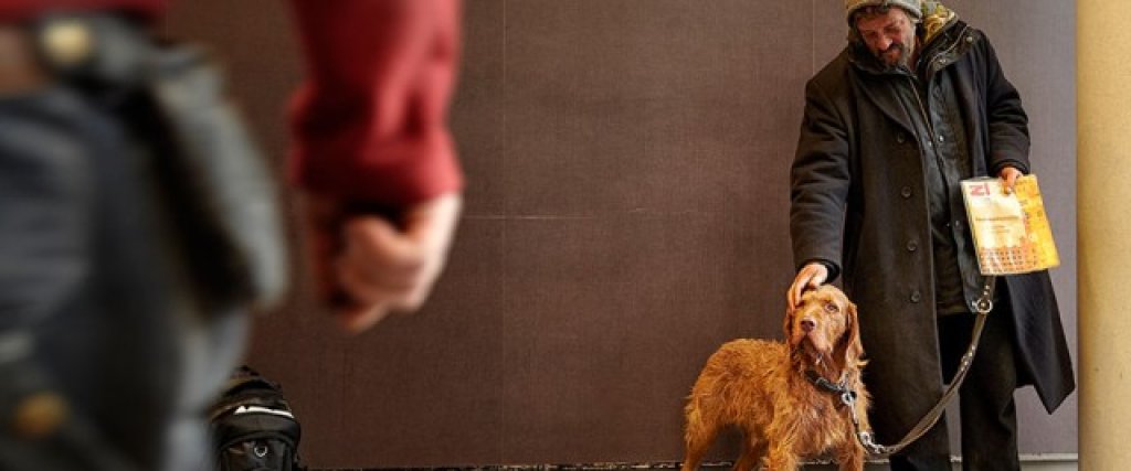 homeless-dogs-and-owners-8