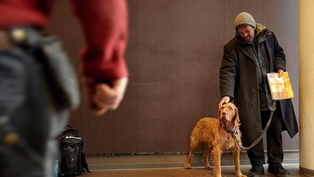 homeless-dogs-and-owners-8