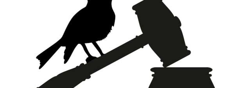judge-orders-twitter-to-hand-over-occupy-wall-street-tweets-e1341331367139