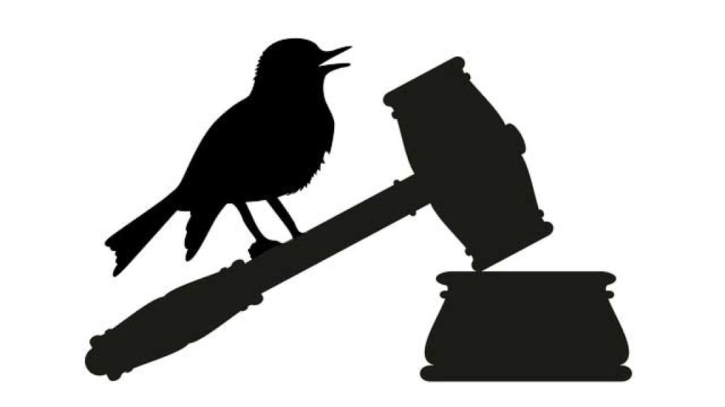 judge-orders-twitter-to-hand-over-occupy-wall-street-tweets-e1341331367139