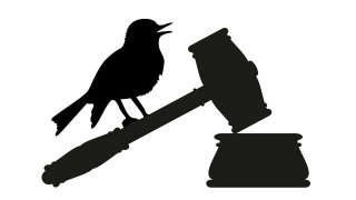 judge-orders-twitter-to-hand-over-occupy-wall-street-tweets-e1341331367139