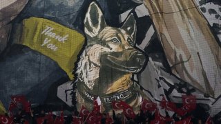 На хореографията е Протео - кучето-герой, което загина под руините