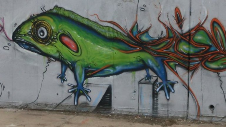 Фандъкова тръгна на война с графитите