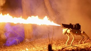 Създадоха първото в света куче-робот-огнехвъргачка