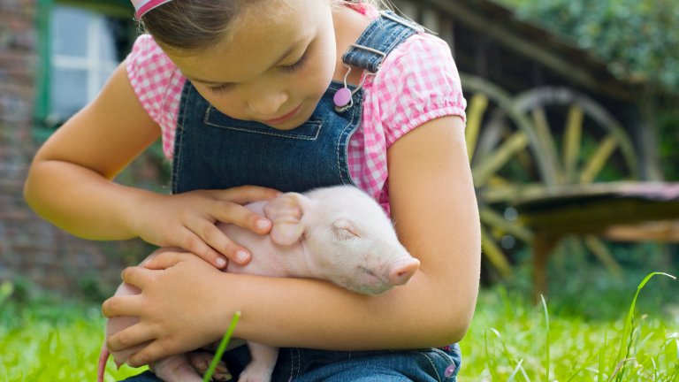 Почти като кучета са...