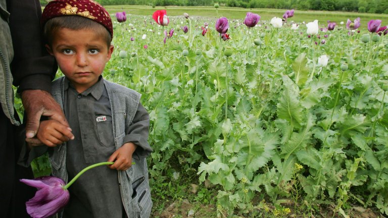 По-малко хероин на нелегалния пазар отваря пространство за 50 пъти по-силния фентанил