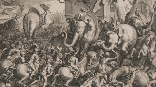 Slaget_ved_Zama_-_Cornelis_Cort,_1567