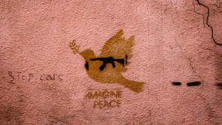 zaur-ibrahimov-antPbwiOpb8-unsplash