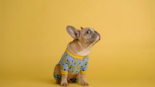 karsten-winegeart-6Ja5I4hRLyc-unsplash