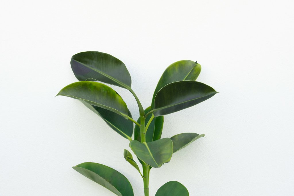 agata-create-XeNKWTiCPNw-unsplash