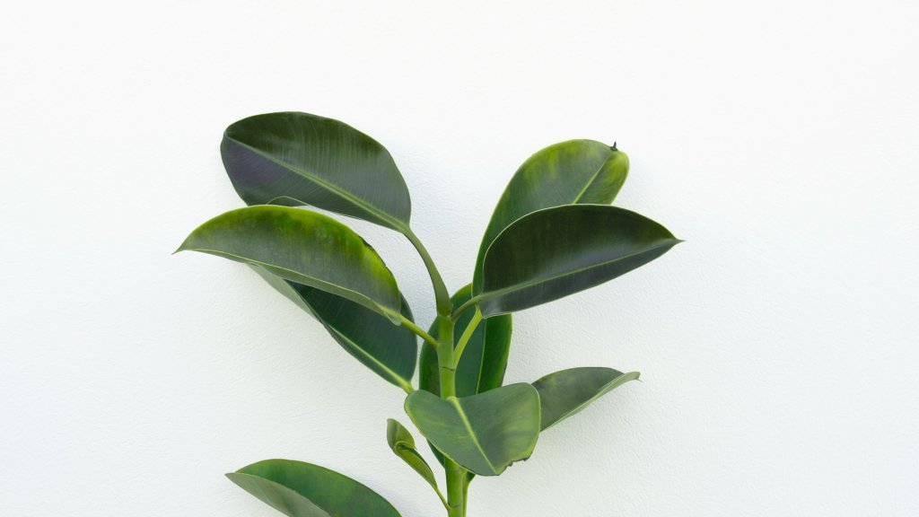 agata-create-XeNKWTiCPNw-unsplash