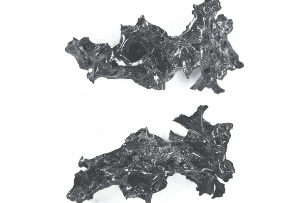 vitrified-brain