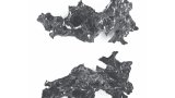 vitrified-brain
