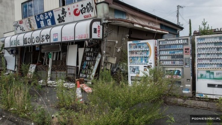 Природата завладява изоставената Фукушима