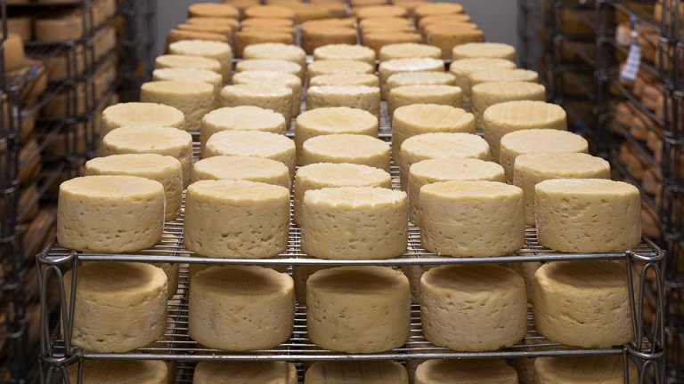 Саламурата е остатъчен продукт от производството на сирене и е евтин вариант.