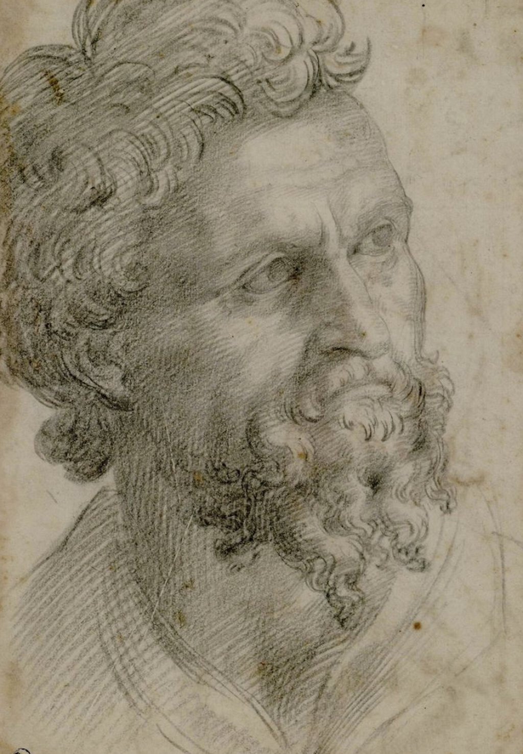 Portrait_of_a_bearded_man._Cellini,_Benvenuto