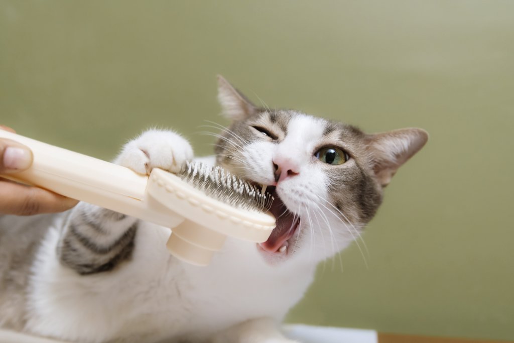 И далеч не са само голи като сфинкса: