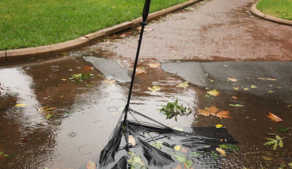 Damaging Winds And Heavy Rain Hit Sydney