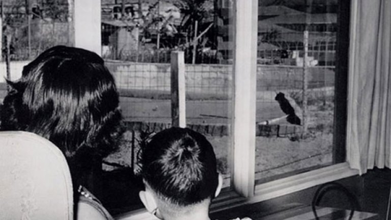 Майка и син наблюдават облака дим след проведен ядрен тест, Лас Вегас, 1953 г.

