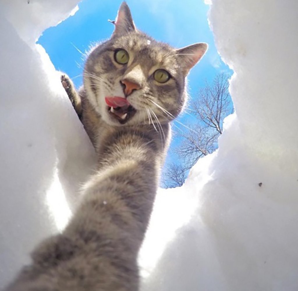 Селфи с котката Мани