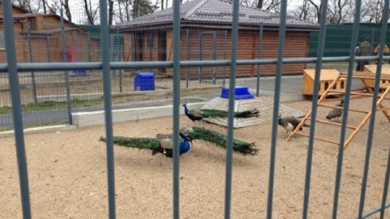 Лайфстайлът на Янукович (СНИМКИ)