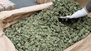 feds-crack-down-on-hundreds-of-medical-marijuana-shops-in-california