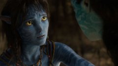 Още два филма или една пресконференция