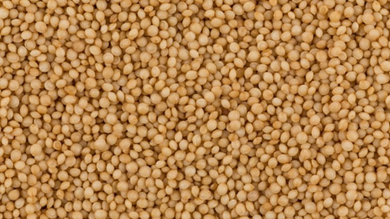 Домашни амарант пуканки
Приготвят се изключтелно бързо на силен огън без мазнина. Необходим е тиган с капак и 2.с.л. амарант.
Може да се консумират самостоятелно солени или като основа на сутрешна закуска – с ядки, семена, сушени плодове, сладки подправки като канела/ванилия, кокосови стърготини, подсладител.