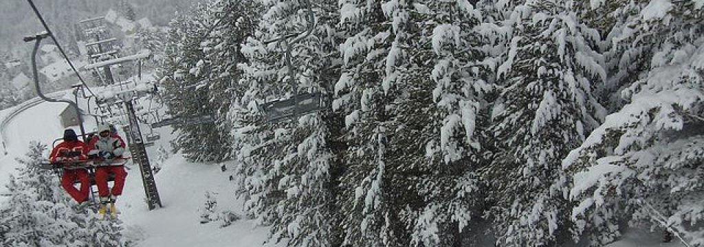 brezovica