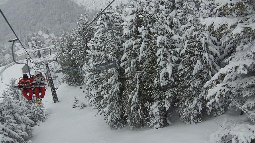 brezovica