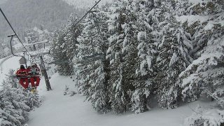 brezovica