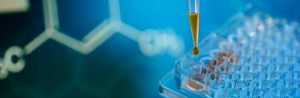 razbiha-laboratoriq-za-sintetichni-narkotici-v-sliven-179452