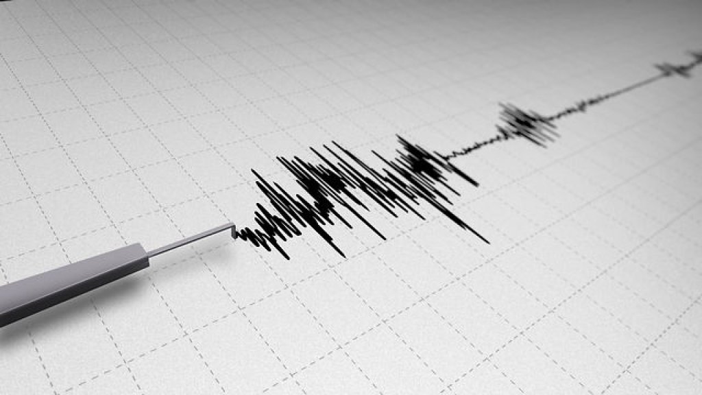 seismograph